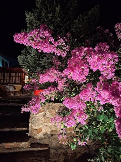 Panthea Cottage 斯塔夫鲁波利 外观 照片