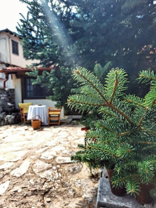 Panthea Cottage 斯塔夫鲁波利 外观 照片